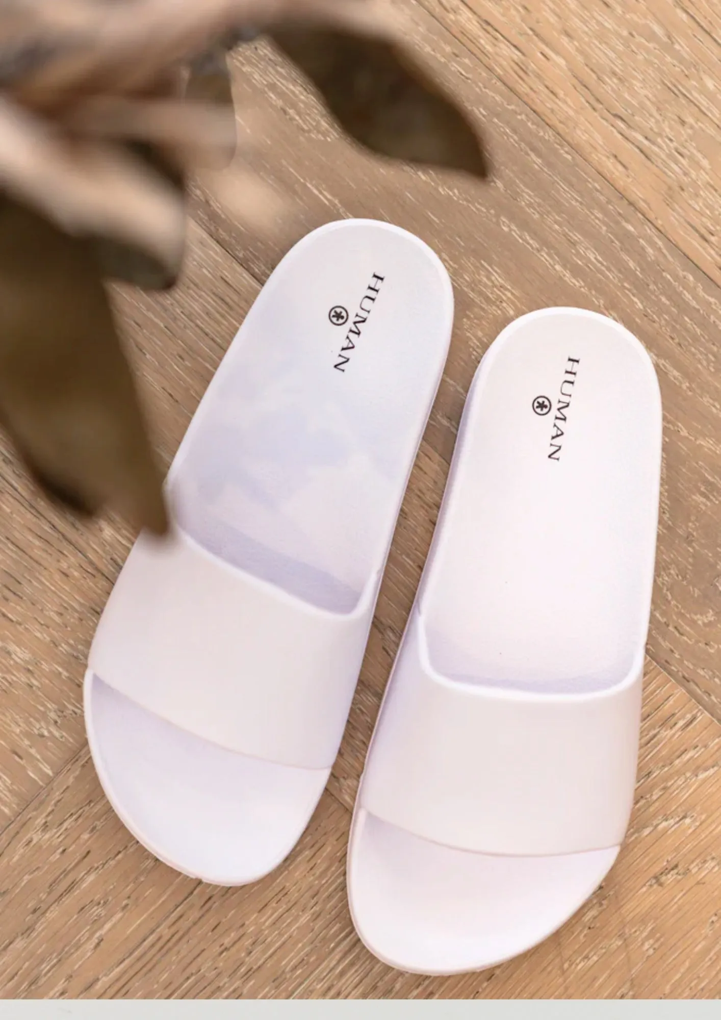 CHERRY - WHITE Dynamic Rolling Motion