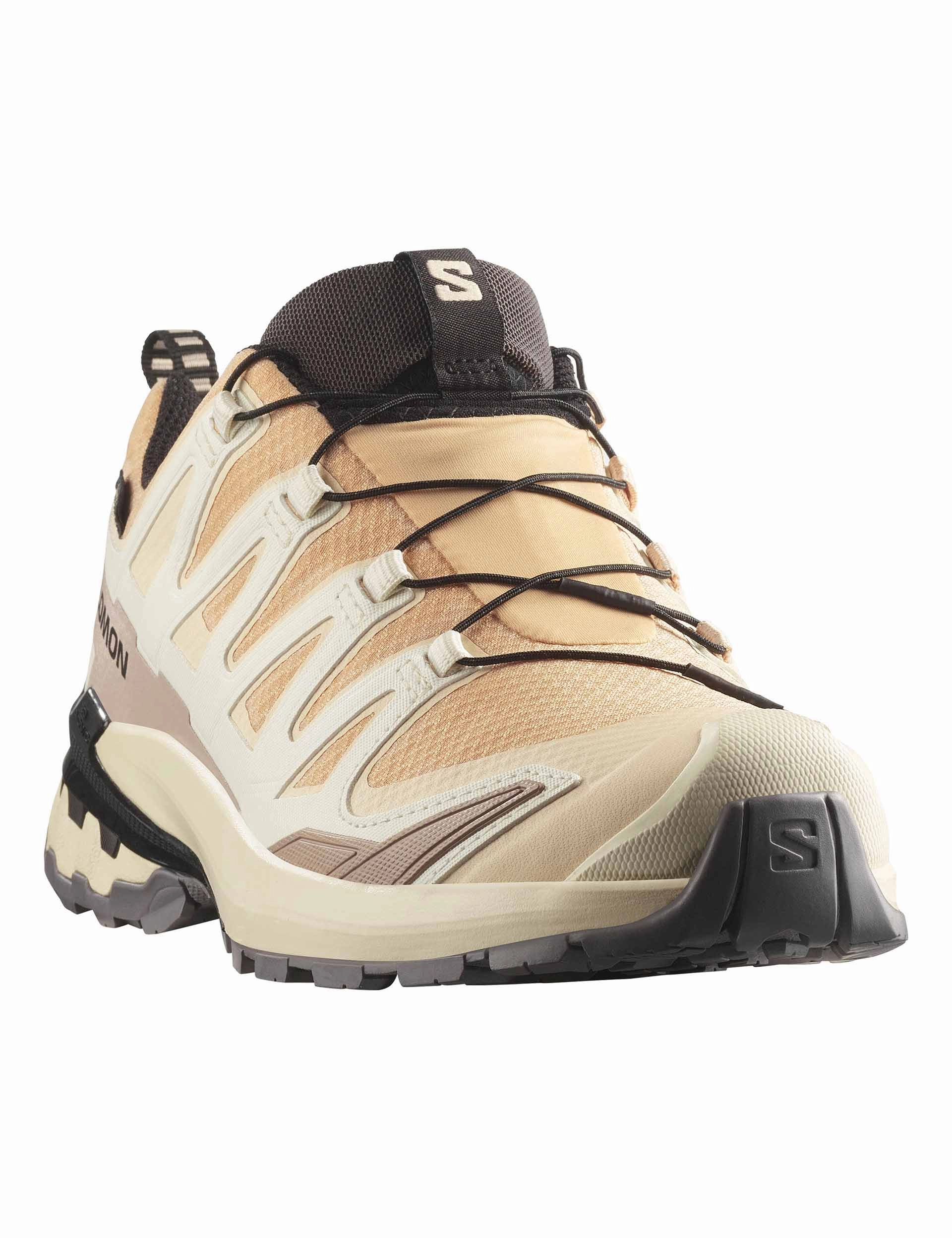 beginner runner's shoe pick Synthetic Overlay Support XA Pro 3D V9 Gore-Tex - Hazelnut/Tender Peach/Black