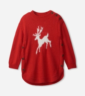 Summer Hatley On Prancer Chunky Sweater Tunic
