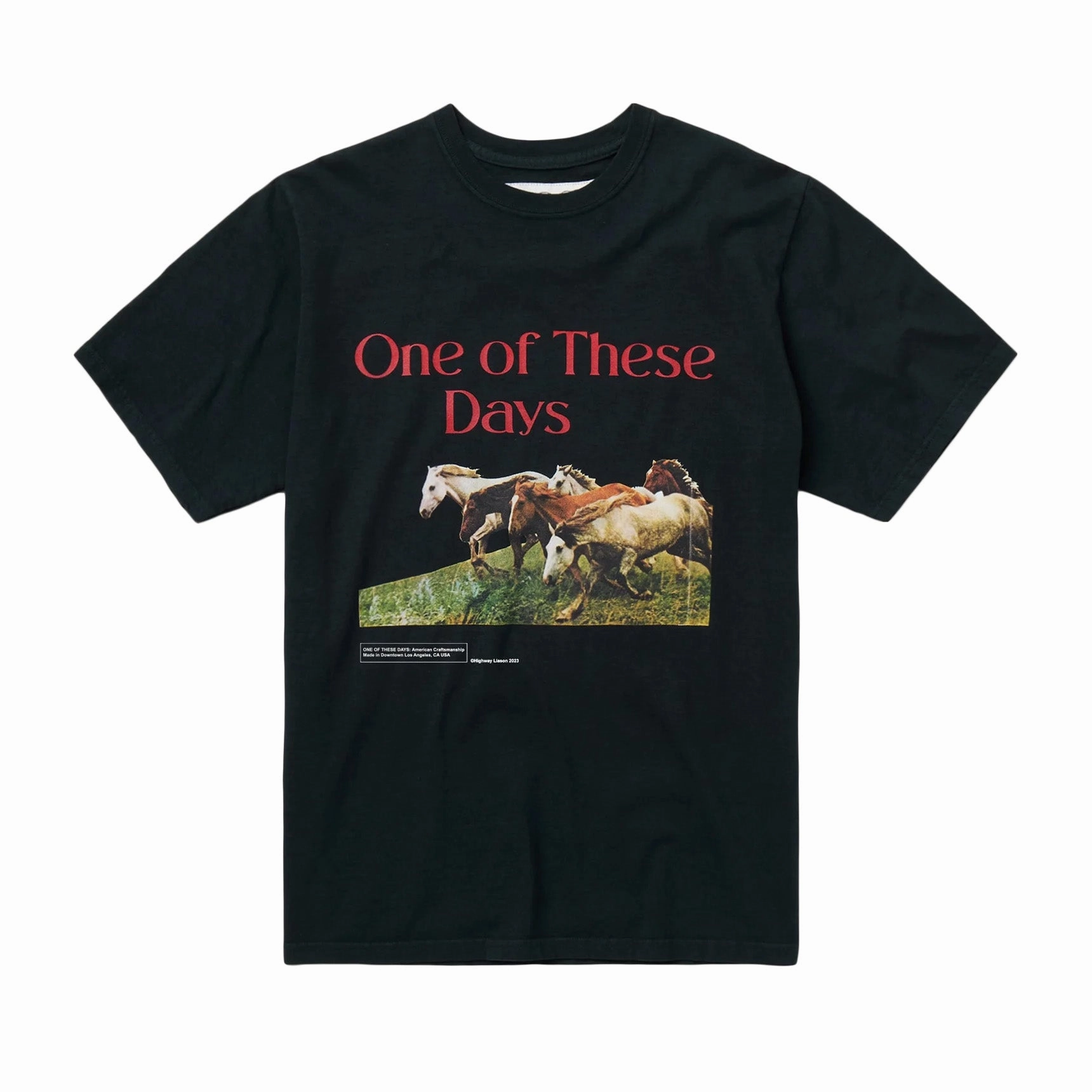 Mesh Glow One Of These Days Wild Horses Short Sleeve T- Shirt 'Washed Black'