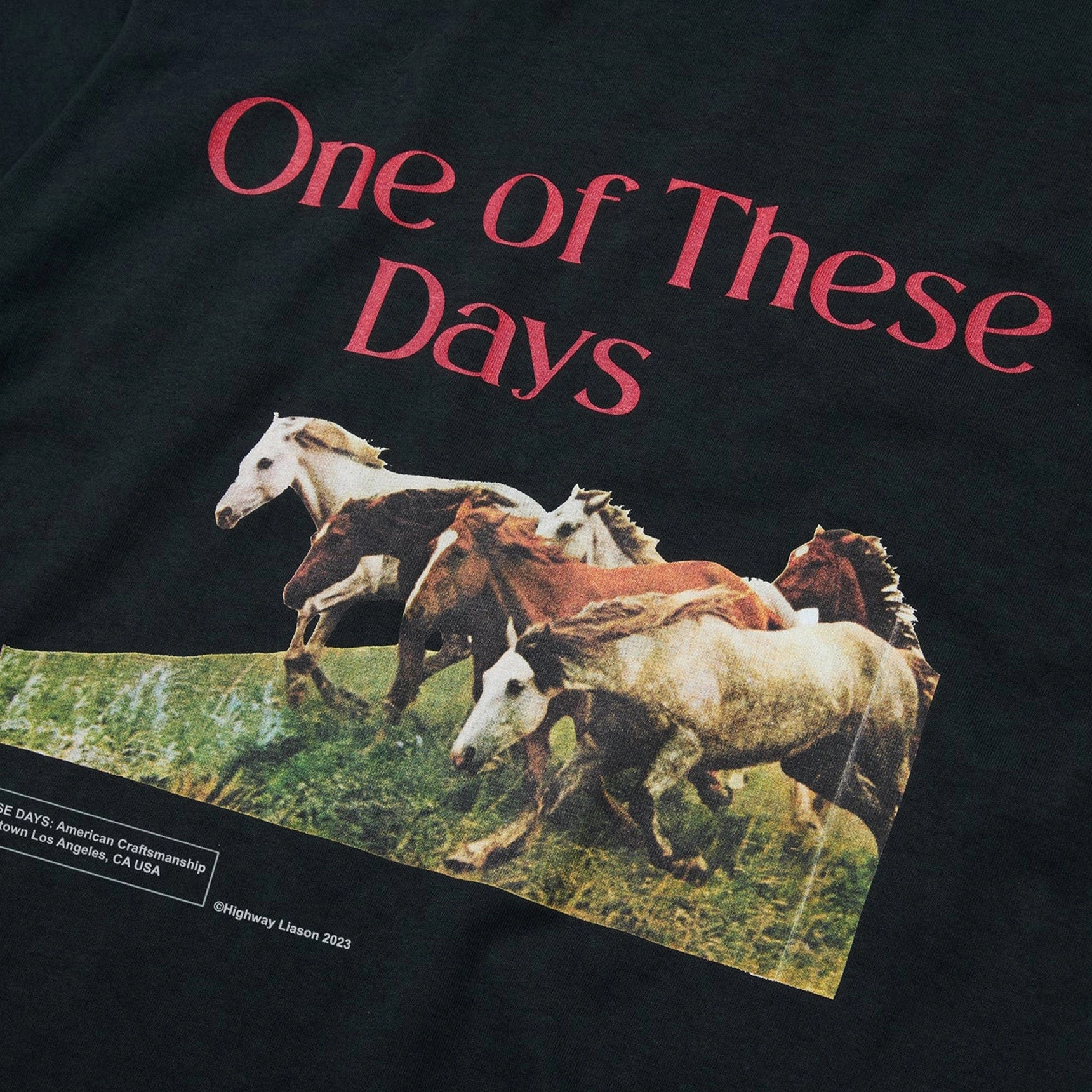 Thermal regulation One Of These Days Wild Horses Short Sleeve T- Shirt 'Washed Black'
