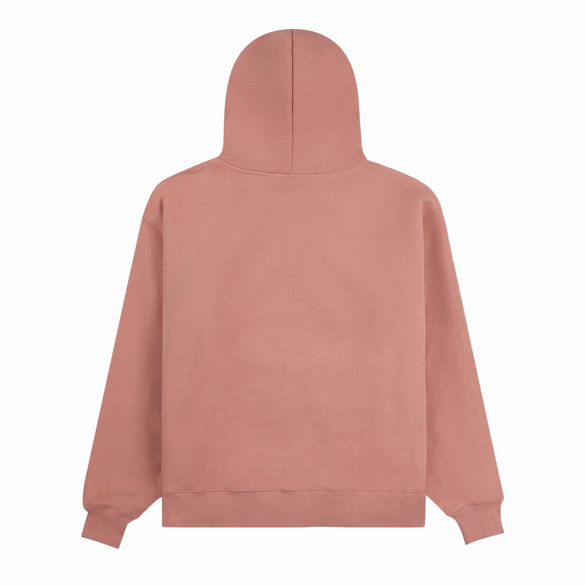 AI Core Pleasures Twitch Studded Hoodie 'Clay'