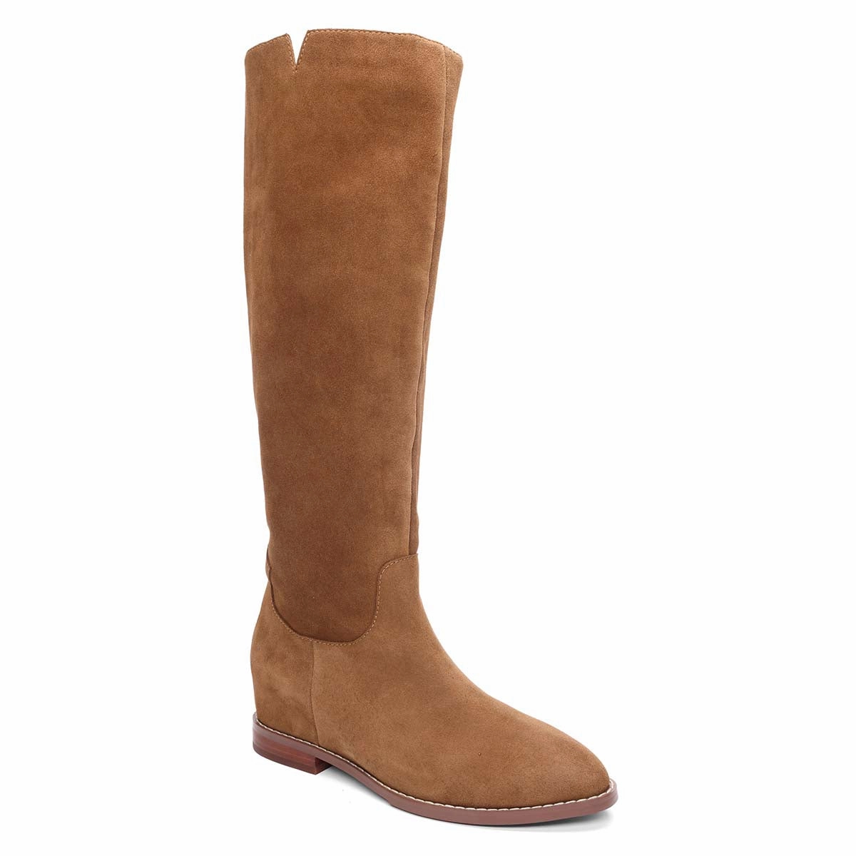 Cold-resistant Jocelyn Hidden Wedge Suede Tall Shaft Boot