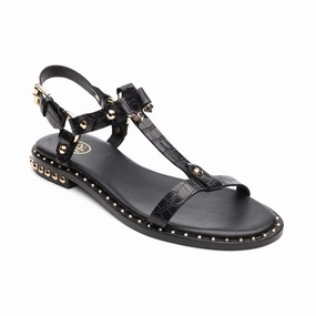 Patsy Bis Croc Printed Embellished Flat Sandal Active