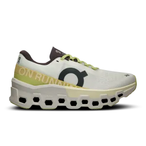 ON Cloudmonster 2 - Undyed - Zest evening - run
