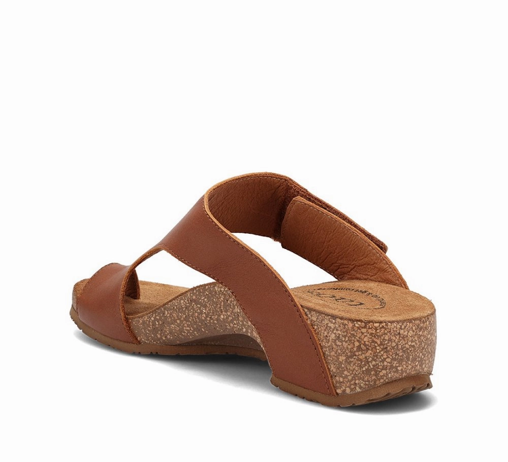 Taos Women's Loop - Brandy Fashion Footwear