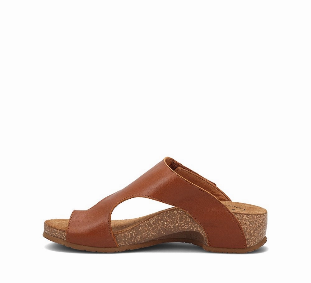 Statement Wear Taos Women's Loop - Brandy